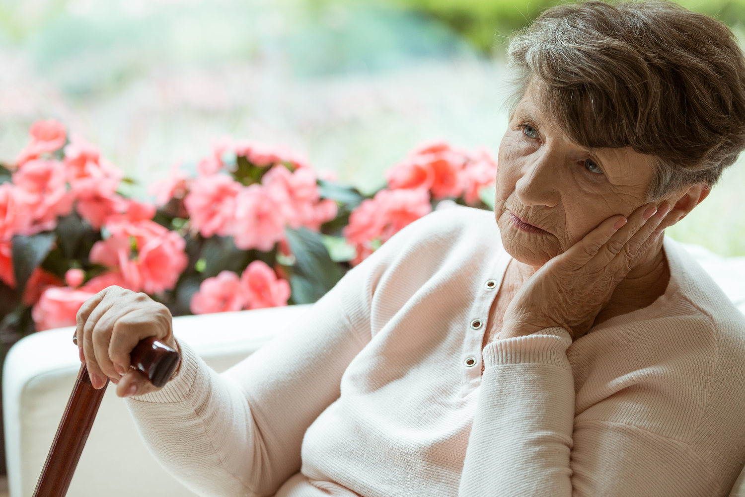How The Alzheimer’s Association Helps With Alzheimer’s Disease And Dementia